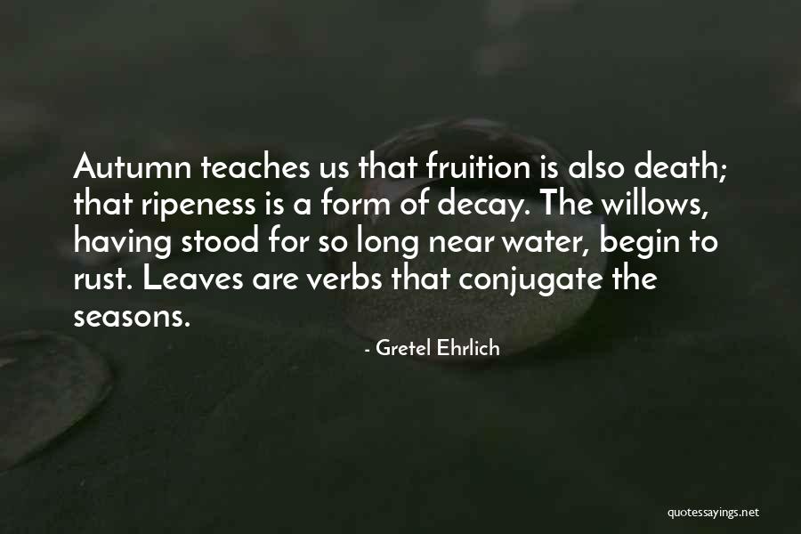 Baucke Funeral Home Quotes By Gretel Ehrlich Baucke Funeral Home Quotes By Gretel Ehrlich