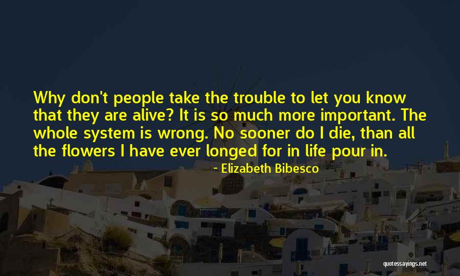 Baucus Restaurant Quotes By Elizabeth Bibesco Baucus Restaurant Quotes By Elizabeth Bibesco