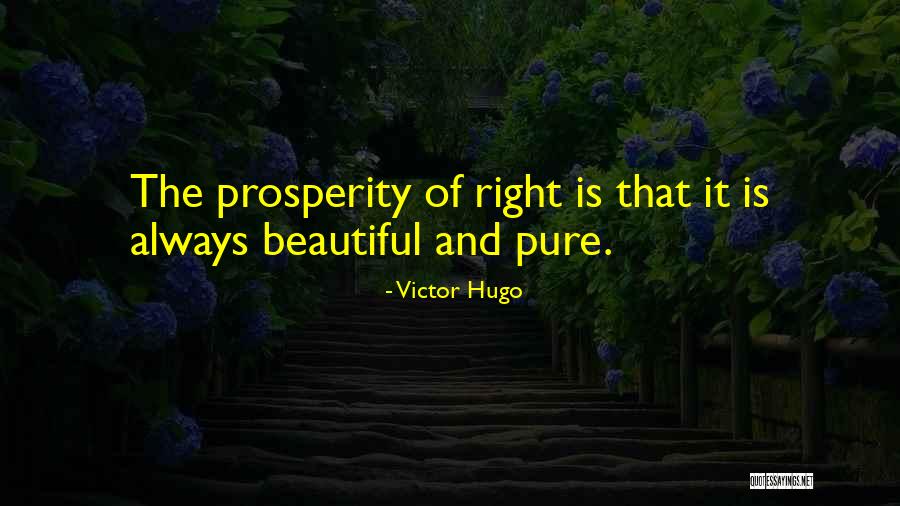Baudelots Ligament Quotes By Victor Hugo