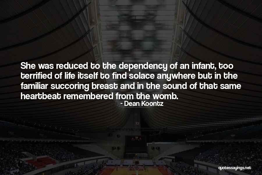 Baudhuin Plastering Quotes By Dean Koontz Baudhuin Plastering Quotes By Dean Koontz