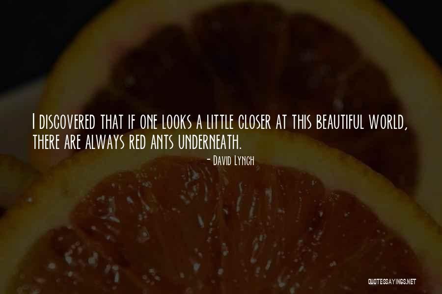 Baughs Furniture Quotes By David Lynch Baughs Furniture Quotes By David Lynch