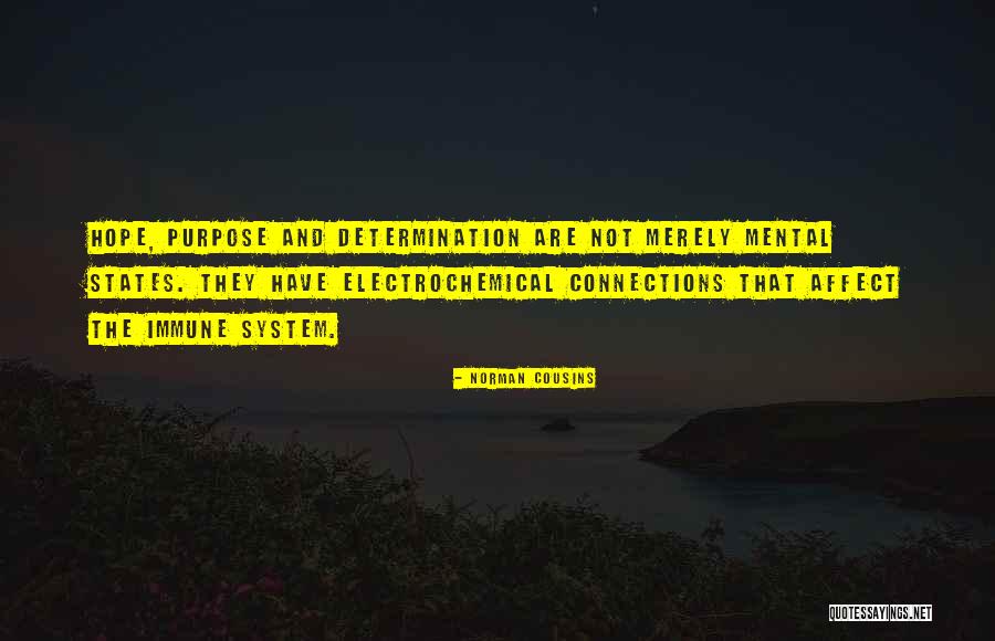 Bauhaussplit Quotes By Norman Cousins Bauhaussplit Quotes By Norman Cousins