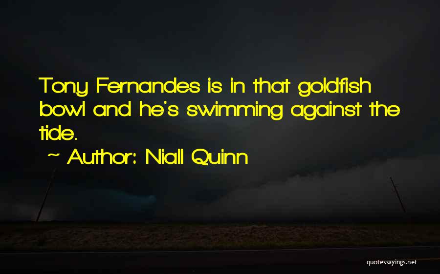 Baumgold Fine Quotes By Niall Quinn