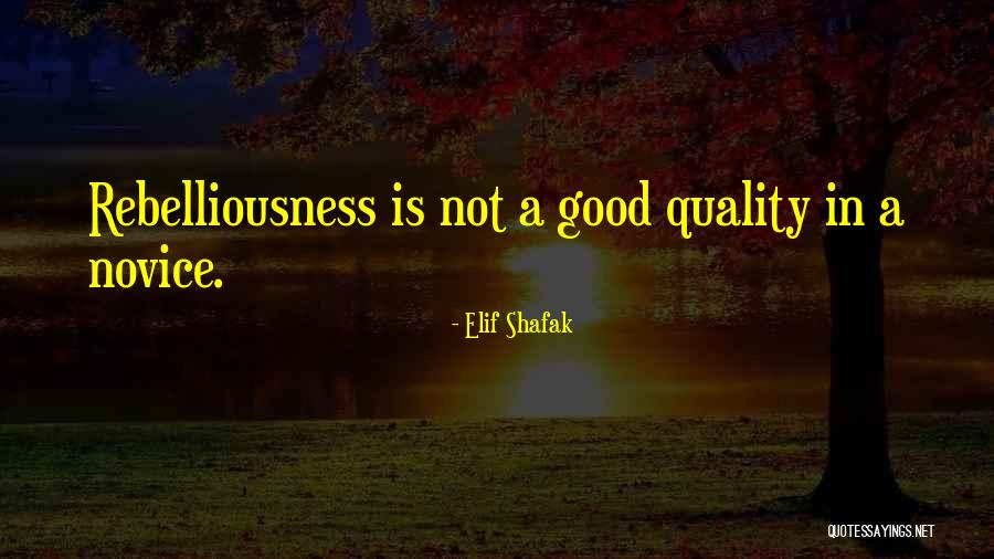 Bautismo Por Quotes By Elif Shafak