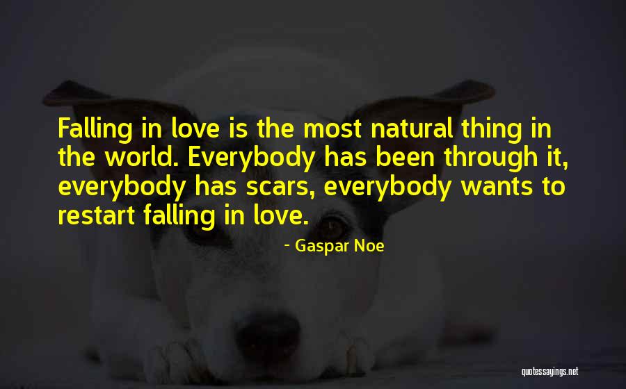 Bauza Patricia Quotes By Gaspar Noe Bauza Patricia Quotes By Gaspar Noe