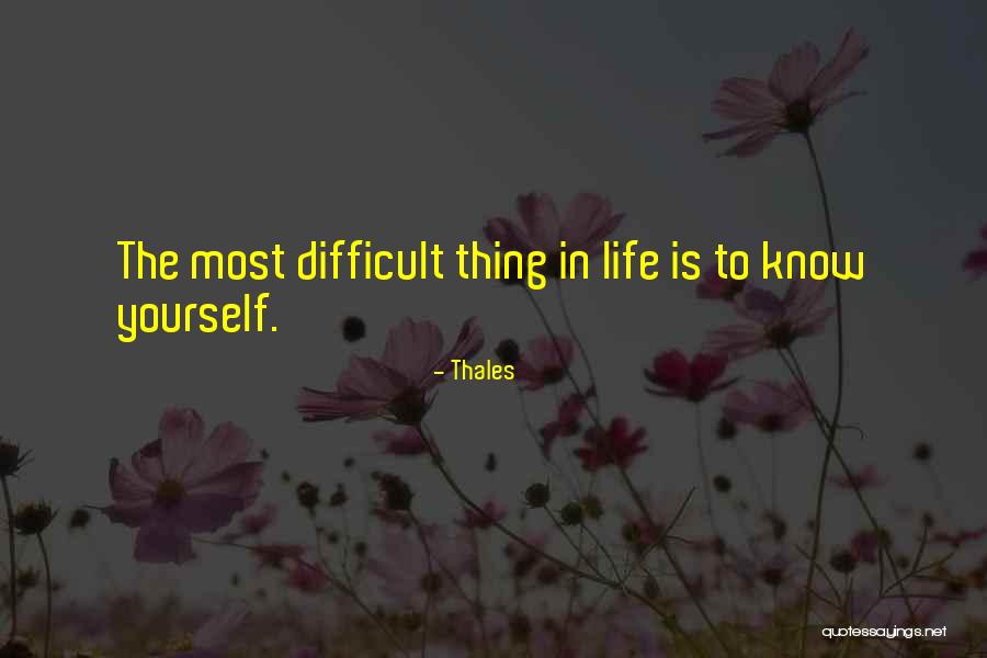 Bavasi Sports Quotes By Thales Bavasi Sports Quotes By Thales