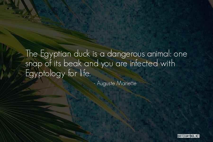 Baverstock Feeds Quotes By Auguste Mariette Baverstock Feeds Quotes By Auguste Mariette