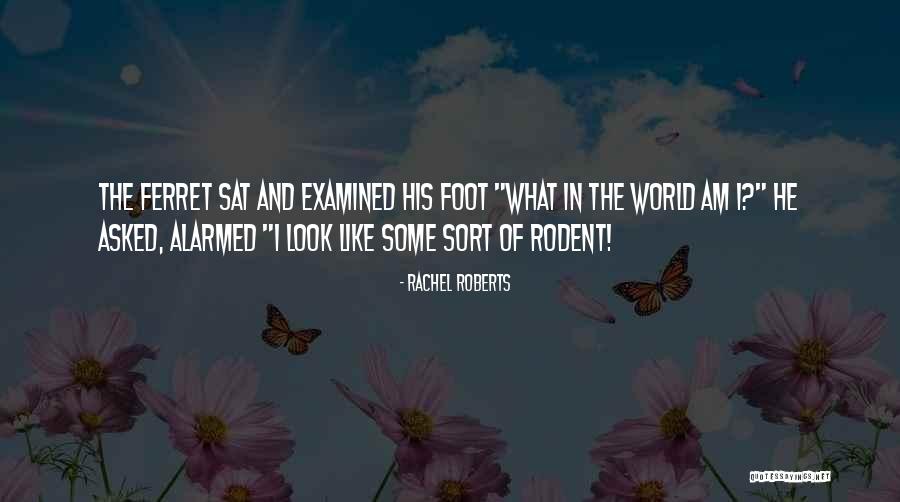 Bayazid Hossain Quotes By Rachel Roberts Bayazid Hossain Quotes By Rachel Roberts