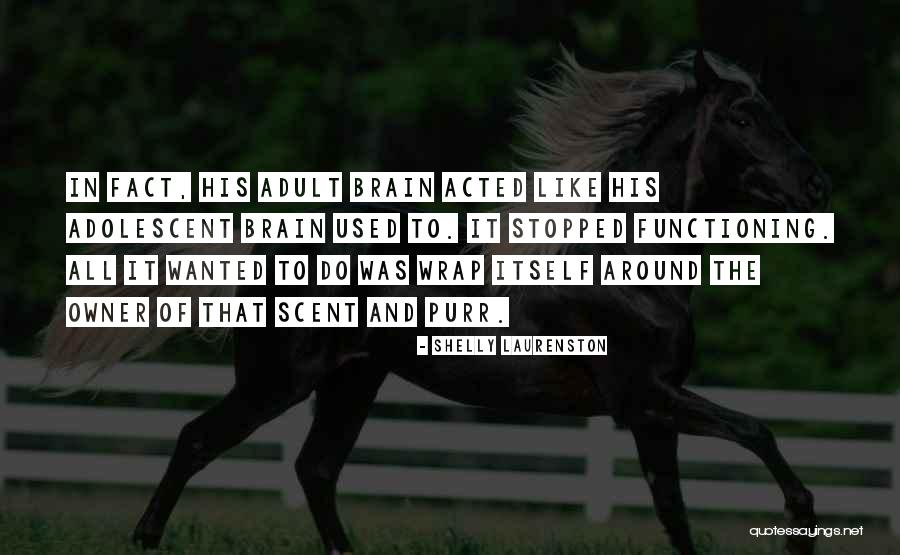 Baydari Quotes By Shelly Laurenston Baydari Quotes By Shelly Laurenston