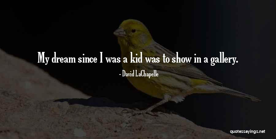 Bayesserver Quotes By David LaChapelle Bayesserver Quotes By David LaChapelle