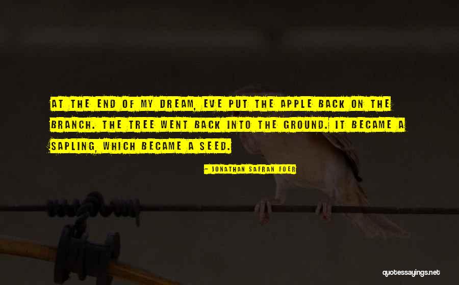 Bayeta Mop Quotes By Jonathan Safran Foer Bayeta Mop Quotes By Jonathan Safran Foer