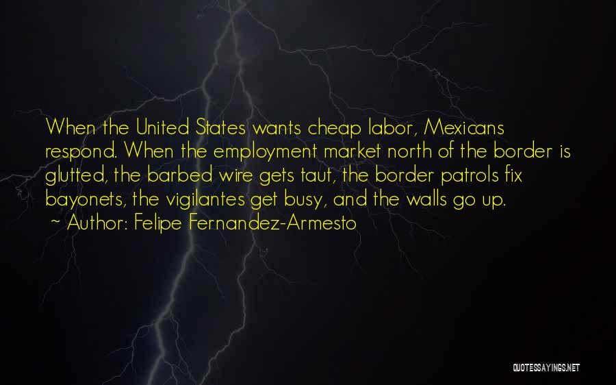 Bayonets Quotes By Felipe Fernandez-Armesto