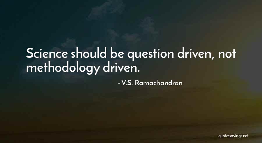 Bazele Antreprenoriatului Quotes By V.S. Ramachandran Bazele Antreprenoriatului Quotes By V.S. Ramachandran