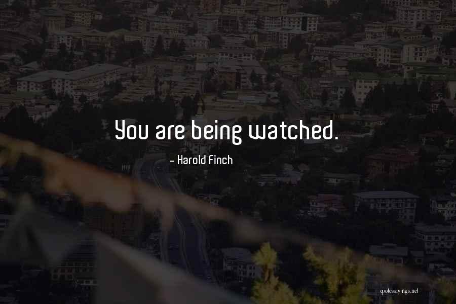Bazils Tucson Quotes By Harold Finch