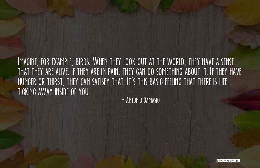 Bbc1 Tv Quotes By Antonio Damasio Bbc1 Tv Quotes By Antonio Damasio