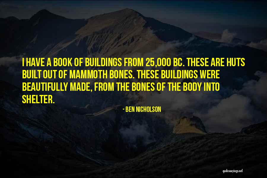 Bc Ltd Quotes By Ben Nicholson Bc Ltd Quotes By Ben Nicholson
