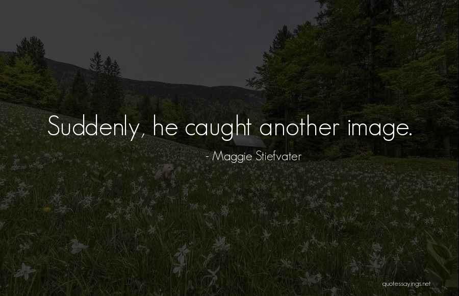 Bcklegal Quotes By Maggie Stiefvater Bcklegal Quotes By Maggie Stiefvater