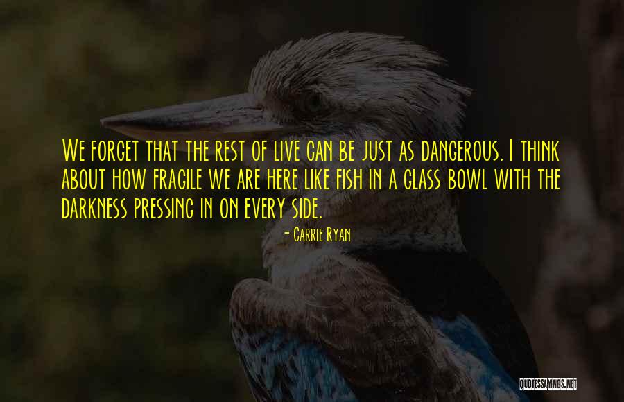 Bcmkg Quotes By Carrie Ryan Bcmkg Quotes By Carrie Ryan