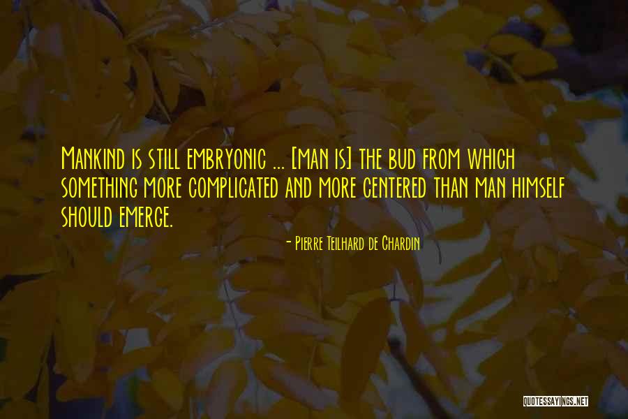 Bcna Etf Quotes By Pierre Teilhard De Chardin Bcna Etf Quotes By Pierre Teilhard De Chardin