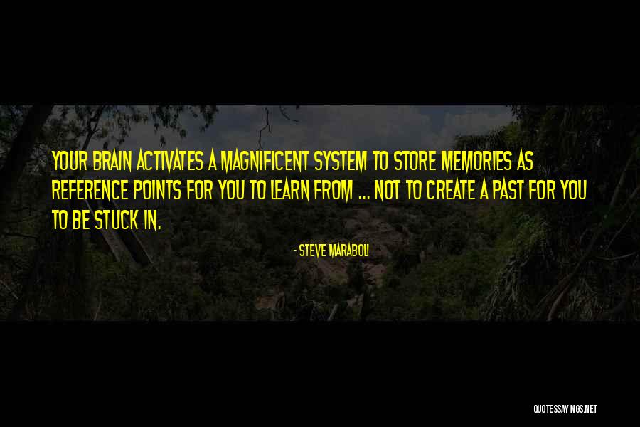 Bdellovibrio Quotes By Steve Maraboli Bdellovibrio Quotes By Steve Maraboli