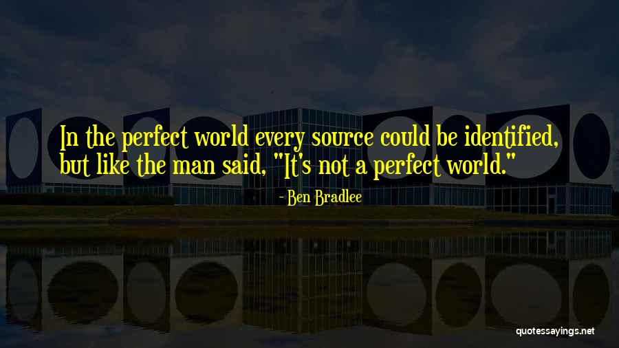 Be A Perfect Man Quotes By Ben Bradlee