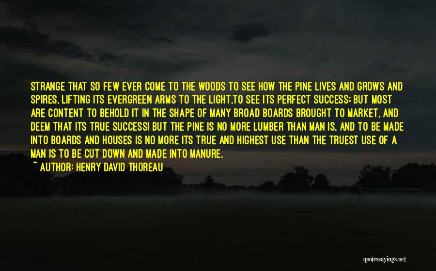 Be A Perfect Man Quotes By Henry David Thoreau