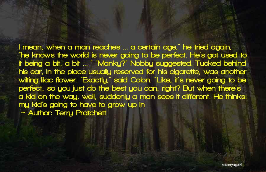 Be A Perfect Man Quotes By Terry Pratchett