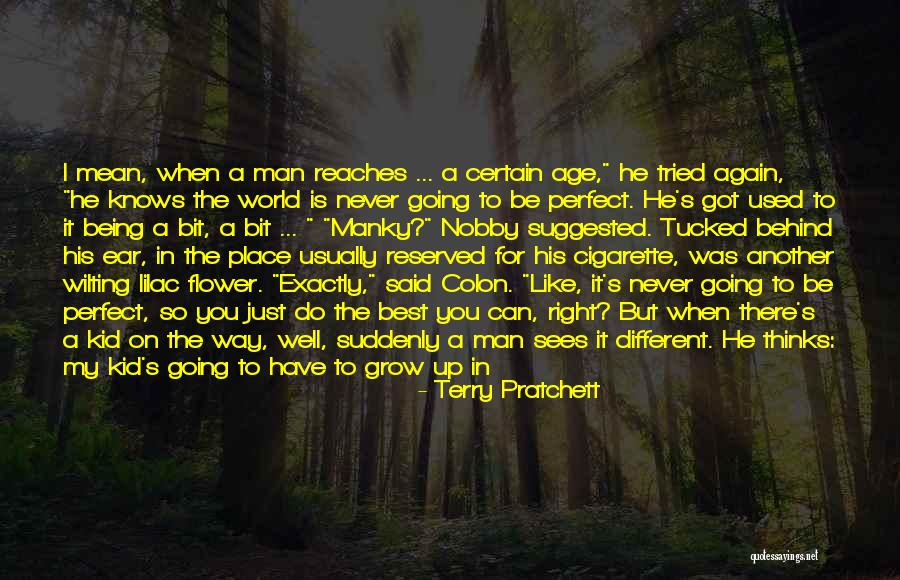 Be A Perfect Man Quotes By Terry Pratchett