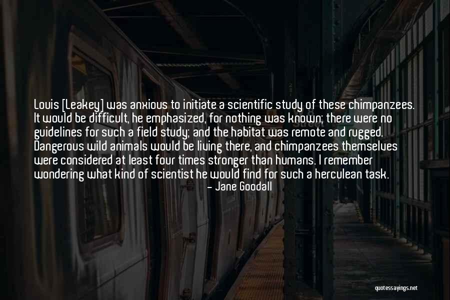 Be Anxious For Nothing Quotes By Jane Goodall Be Anxious For Nothing Quotes By Jane Goodall