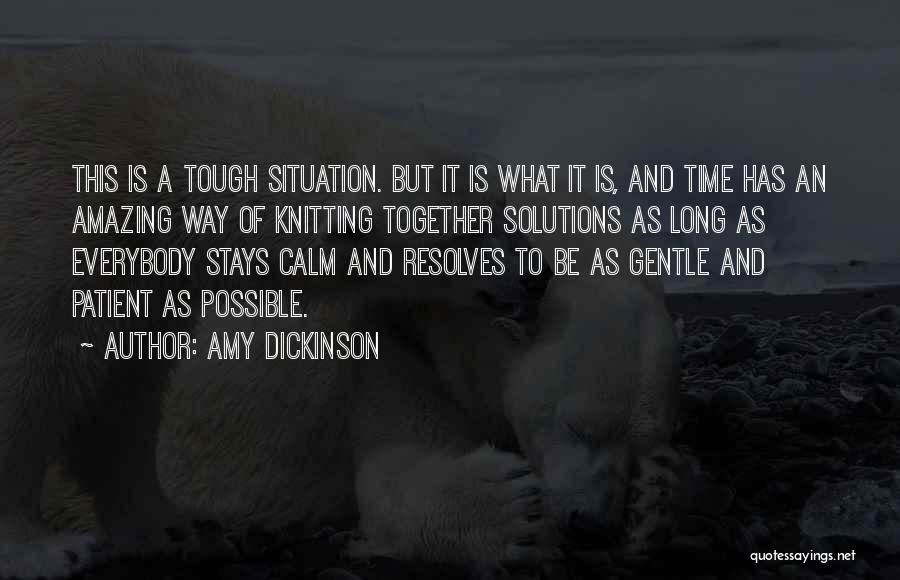 Be Calm Quotes By Amy Dickinson