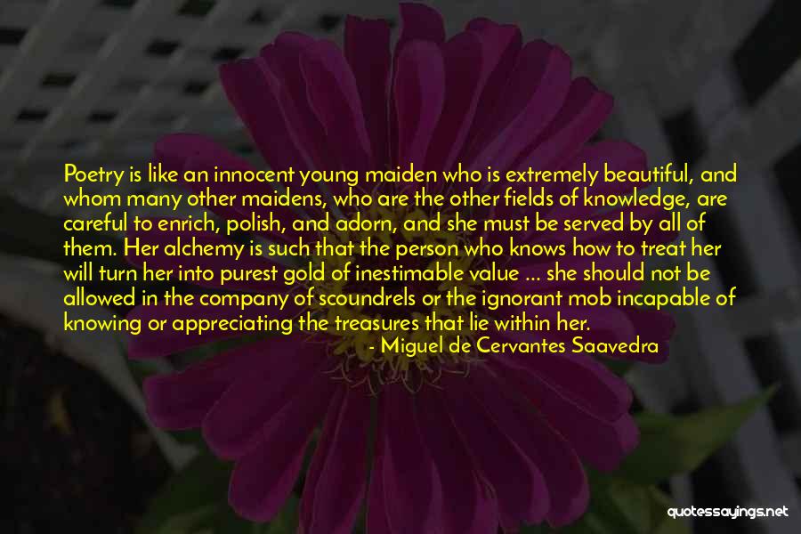 Be Careful How You Treat Others Quotes By Miguel De Cervantes Saavedra Be Careful How You Treat Others Quotes By Miguel De Cervantes Saavedra