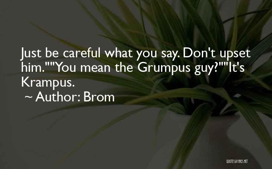 Be Careful What You Say Quotes By Brom