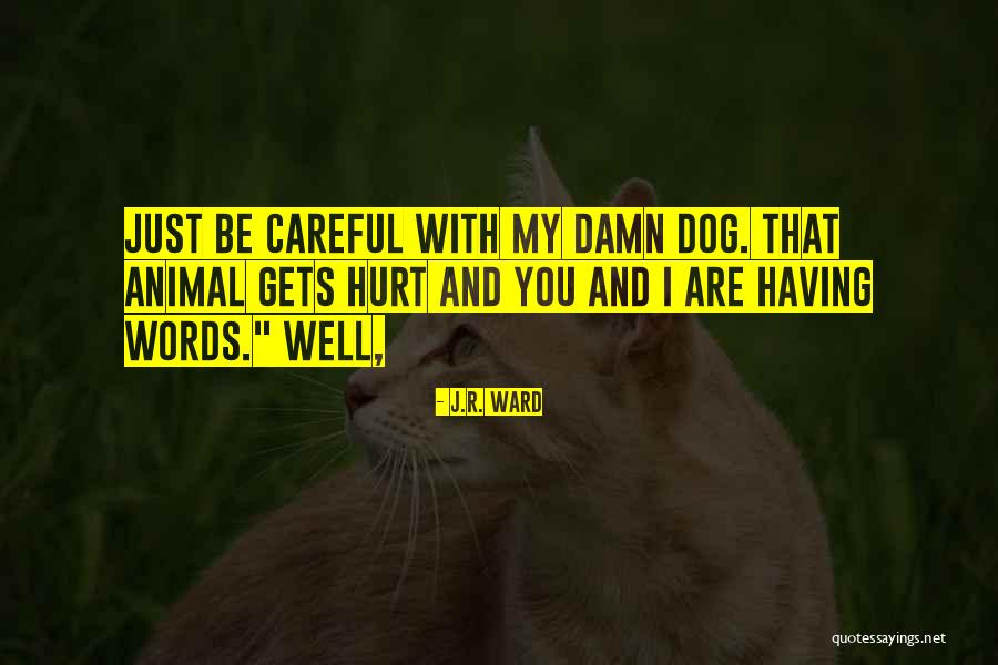 Be Careful Words Quotes By J.R. Ward