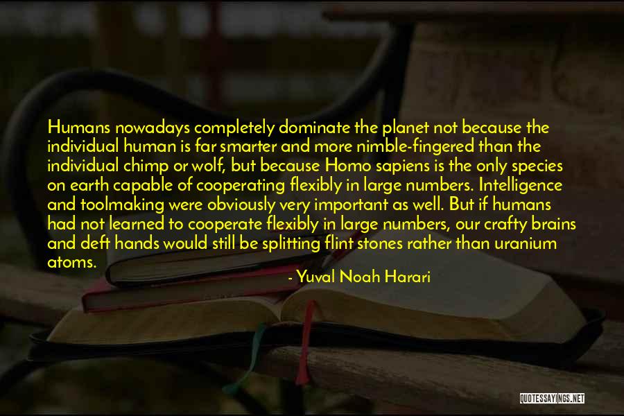 Be Crafty Quotes By Yuval Noah Harari Be Crafty Quotes By Yuval Noah Harari