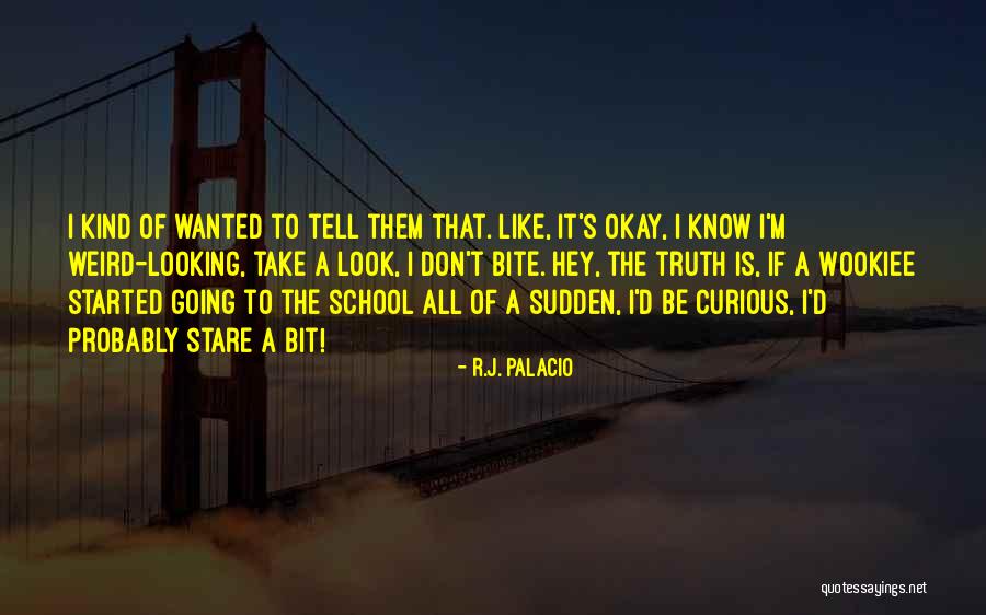 Be Curious Quotes By R.J. Palacio Be Curious Quotes By R.J. Palacio