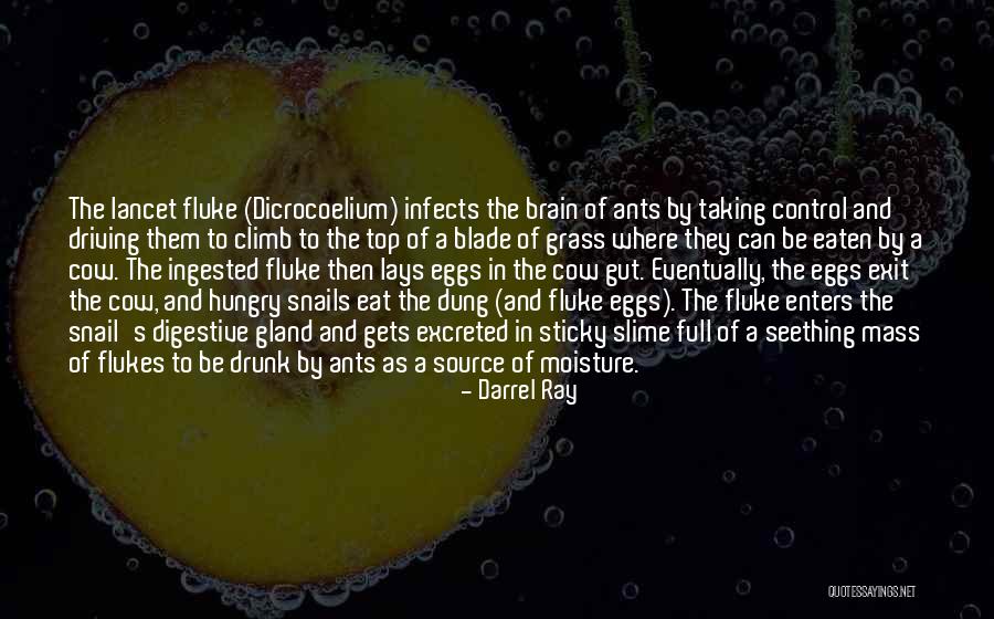 Be Drunk Quotes By Darrel Ray Be Drunk Quotes By Darrel Ray