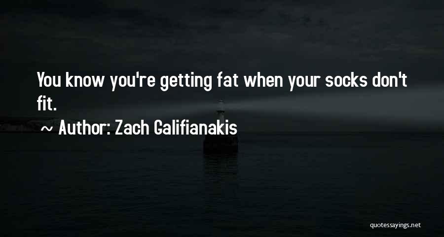 Be Fit Not Fat Quotes By Zach Galifianakis