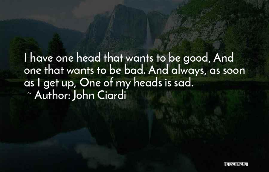 Be Good Quotes By John Ciardi