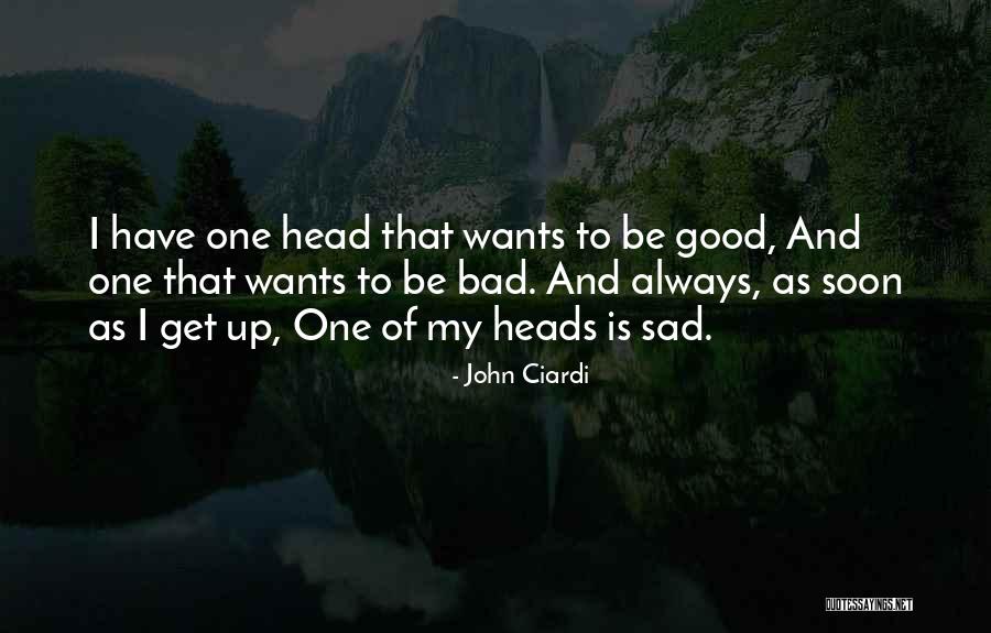 Be Good Quotes By John Ciardi