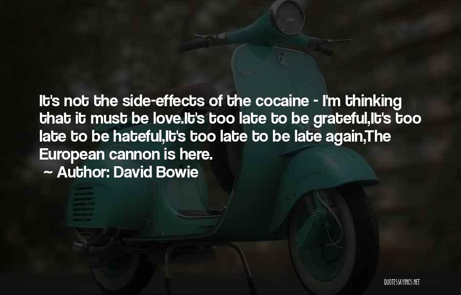 Be Grateful Love Quotes By David Bowie