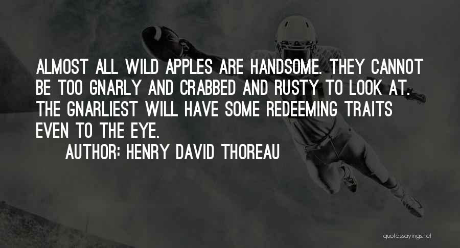 Be Handsome Quotes By Henry David Thoreau