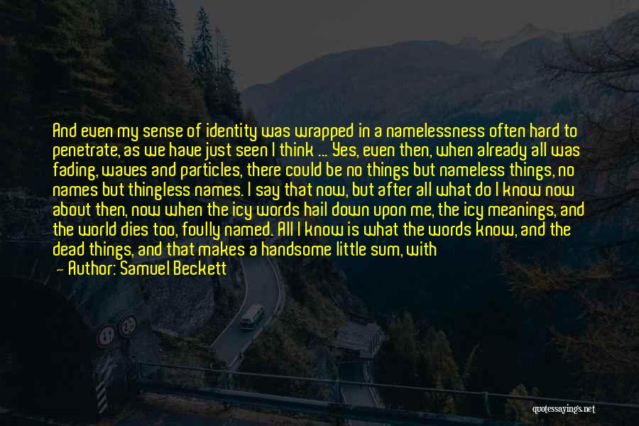 Be Handsome Quotes By Samuel Beckett