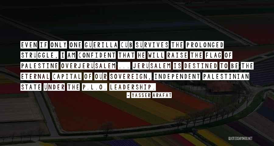 Be Independent Quotes By Yasser Arafat