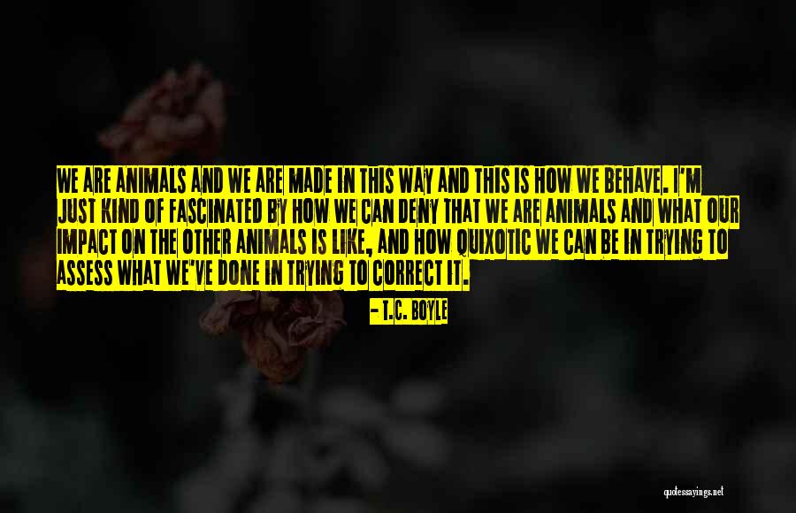 Be Kind To Animals Quotes By T.C. Boyle Be Kind To Animals Quotes By T.C. Boyle