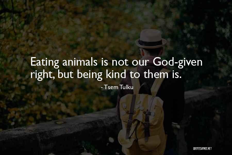 Be Kind To Animals Quotes By Tsem Tulku Be Kind To Animals Quotes By Tsem Tulku