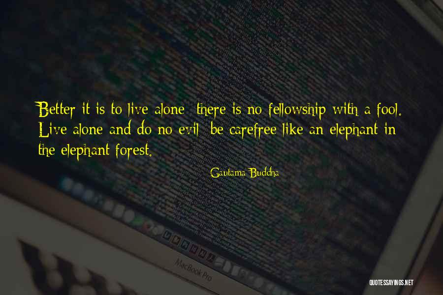Be Like An Elephant Quotes By Gautama Buddha Be Like An Elephant Quotes By Gautama Buddha