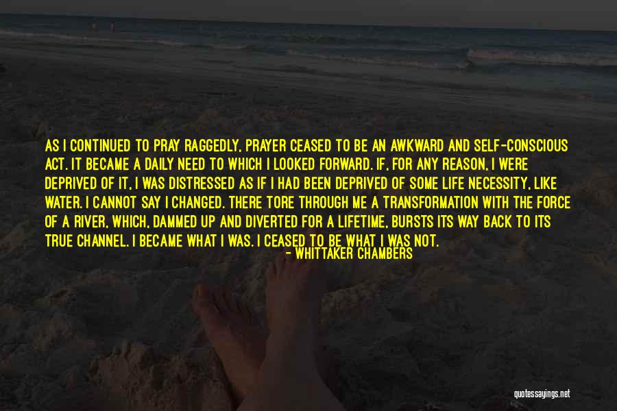 Be Like River Quotes By Whittaker Chambers Be Like River Quotes By Whittaker Chambers