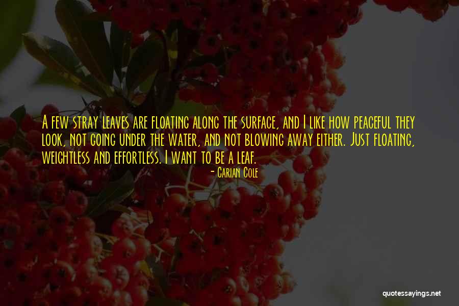 Be Like Water Quotes By Carian Cole Be Like Water Quotes By Carian Cole