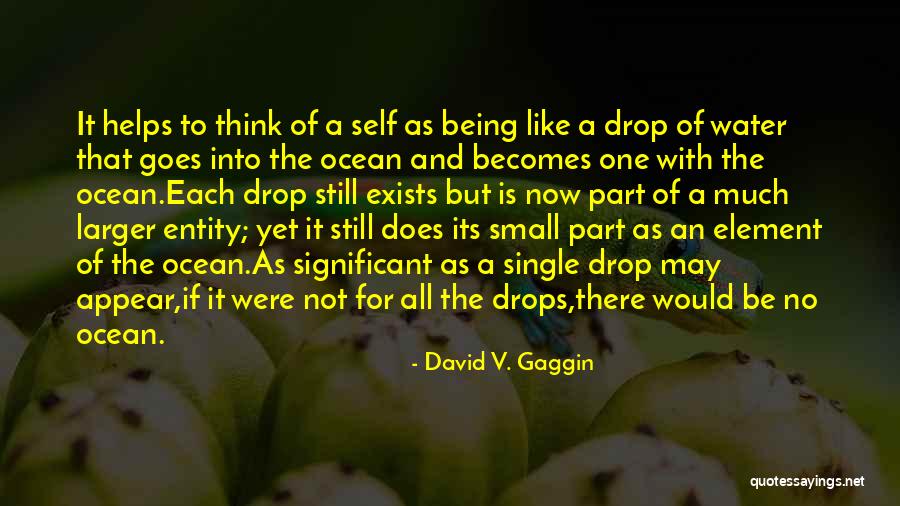 Be Like Water Quotes By David V. Gaggin