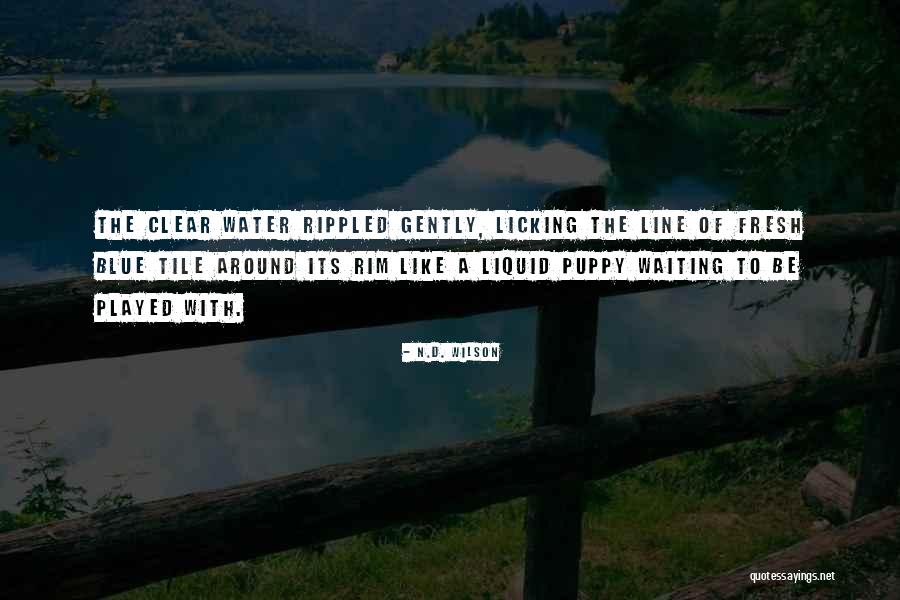 Be Like Water Quotes By N.D. Wilson